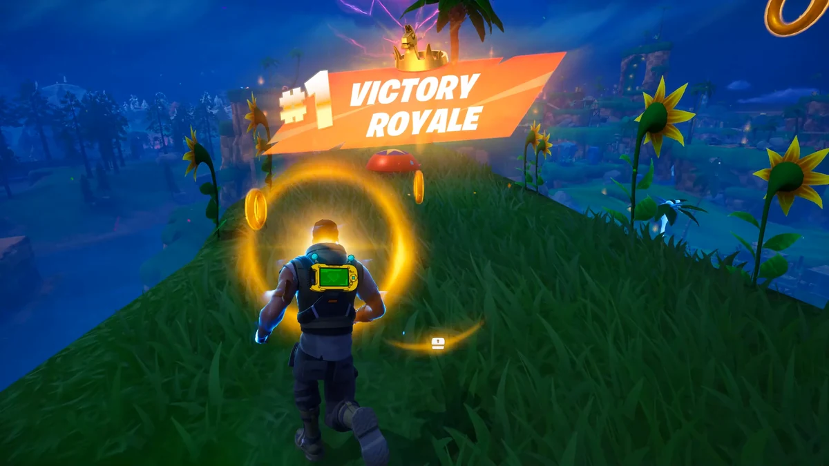 Real Day 02 Fortnite Victory Royale screenshot from Zyvraxo's recording
